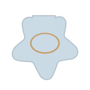 Etoile 7 Hollywood Star - Variation