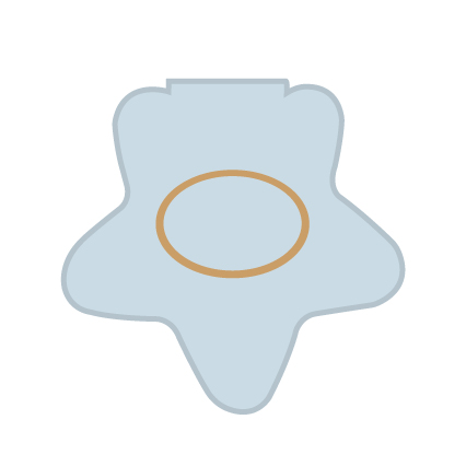 Etoile 7 Hollywood Star - Variation