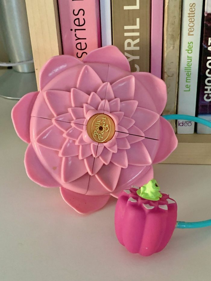 Polly’s Magical Lilypad