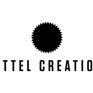 Capture d'écran 2025-10-26 095718 Trendy Tronics Télévision